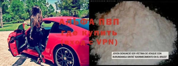 прущая мука Богданович