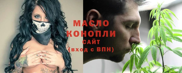 молекула духа Богородск