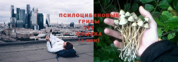 молекула духа Богородск