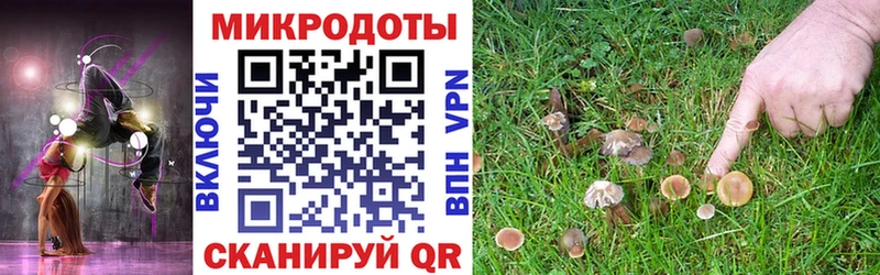 KRAKEN ONION купить сайты Каменка Псилоцибиновые грибы Magic Shrooms