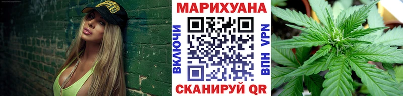 Бошки марихуана OG Kush  Каменка 